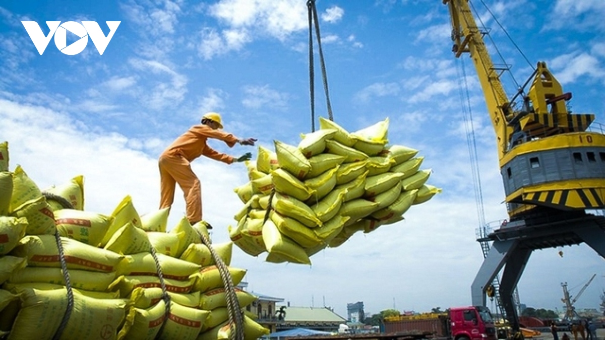 Vietnam retains number one position in rice exports to Singaporean market